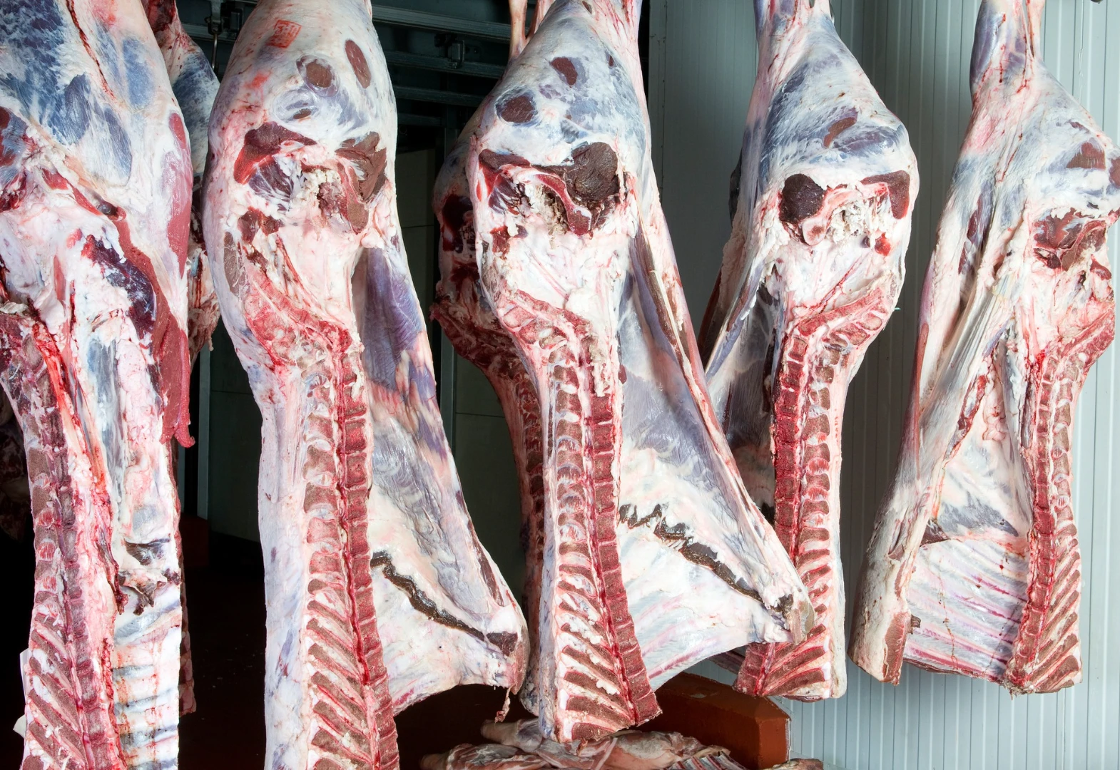 Karkas Et Nedir? Kaliteli Karkas Seçiminin Püf Noktaları